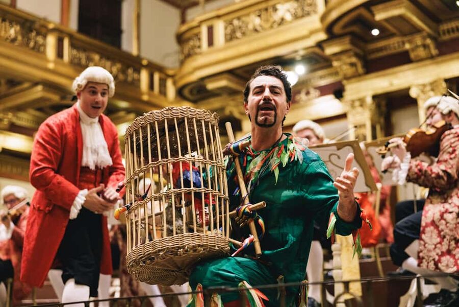 Vienna: Mozart Concert at the Vienna State Opera - Dress Code and Audience Comfort: What to Wear to the Staatsoper