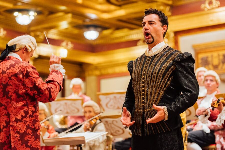 Vienna: Mozart Concert in the Brahms-Saal - Who this Mozart concert is best for