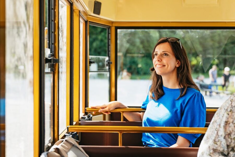 Vienna: Panorama Train Tickets to explore Schönbrunn Palace - Practical Downsides to Know Before You Ride