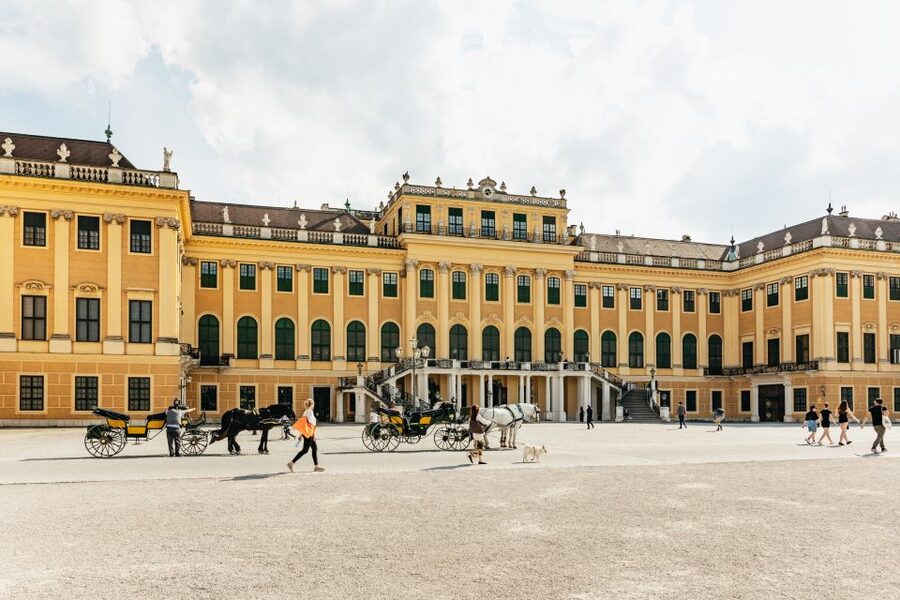 Vienna: Panorama Train Tickets to explore Schönbrunn Palace - Comfort, Accessibility, and Family-Friendly Logistics