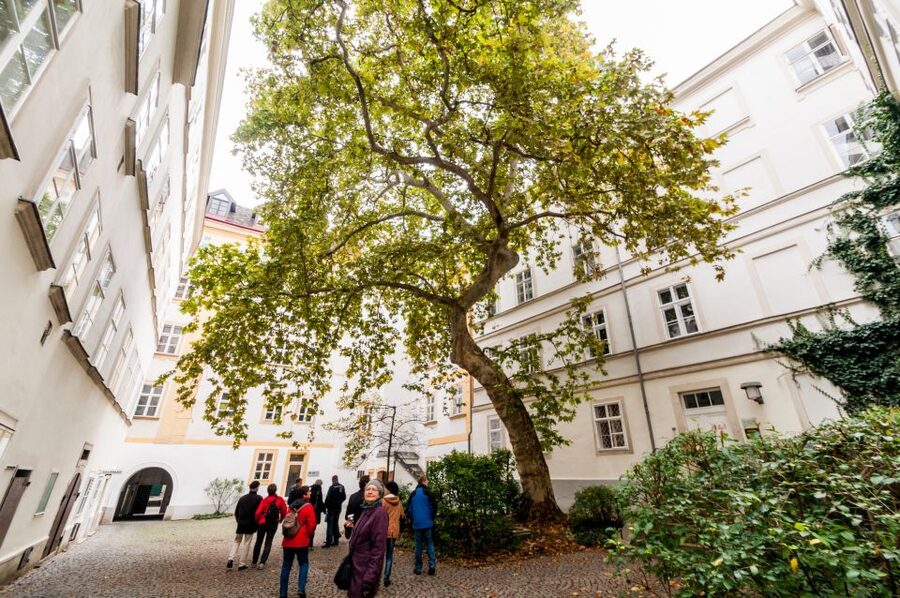 Vienna: Romantic Old Town 2-Hour Discovery Tour - The old university quarter and Jesuit quarter, church power and art rivalries