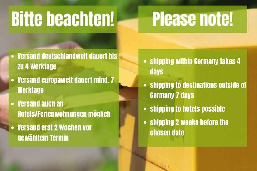 Vienna: Scavenger Hunt Self-Guided Tour - Key highlights you should know