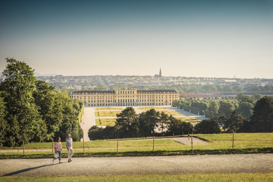 Vienna: Schönbrunn Palace Entry Ticket with Lunch - Skip-the-line value at a top attraction: when it helps most