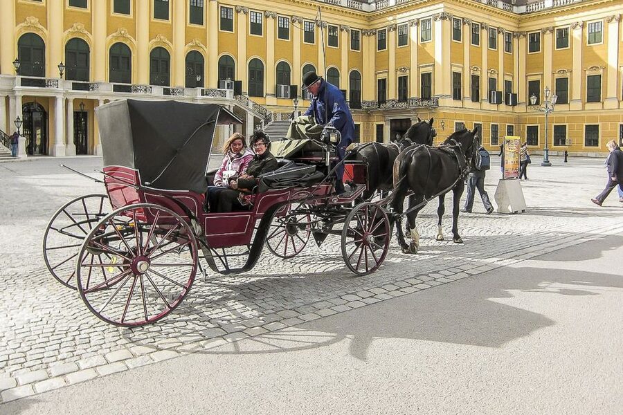 Vienna: Schönbrunn Palace & Gardens Skip-the-Line Tour - What the Garden Walk Gives You, Plus the Gloriette Glimpse