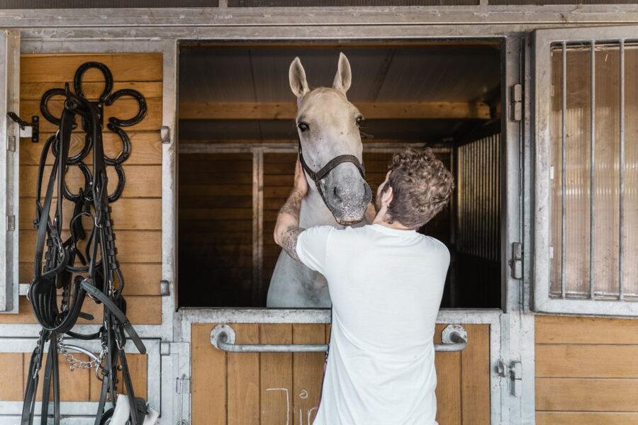 Vienna: Secrets of the Fiaker & Horse-Drawn Carriage Ride - Inside Vienna’s Working Fiaker World (Not a Quick Show)