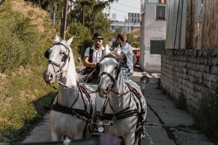 Vienna: Secrets of the Fiaker & Horse-Drawn Carriage Ride - Small Group, Real People, and How the Ride Works