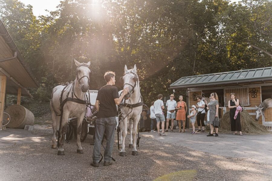 Vienna: Secrets of the Fiaker & Horse-Drawn Carriage Ride - Who Should Book This Fiaker Secrets Tour
