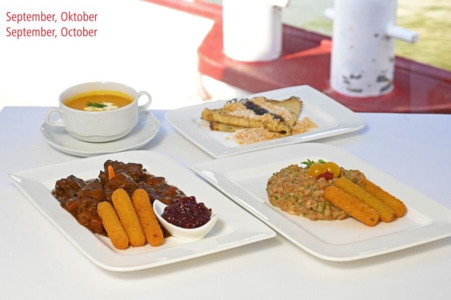 Vienna: Sightseeing Boat Tour with Lunch - Lunch on the MS Blue Danube: Seasonal, Simple, and Usually a Hit