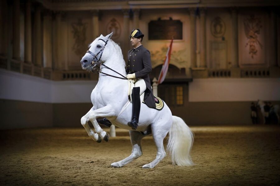 Vienna: Spanish Riding School 45-Minute Performance Show - The Baroque Winter Riding School: the arena you feel in your bones