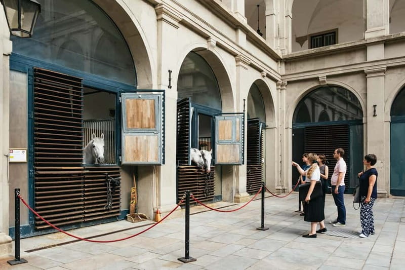 Vienna: Spanish Riding School Guided Architectural Tour - Key points before you go