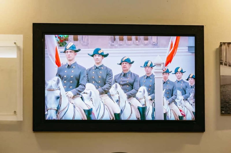 Vienna: Spanish Riding School Guided Architectural Tour - Who this tour suits best, and who should skip