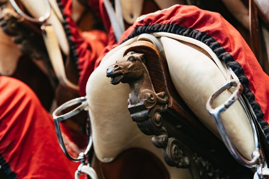 Vienna Spanish Riding School Guided Tour - Should You Book This Tour?
