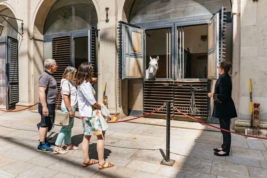 Vienna Spanish Riding School Guided Tour - Arena, Exercise Areas, and the Tack Room Reality Check