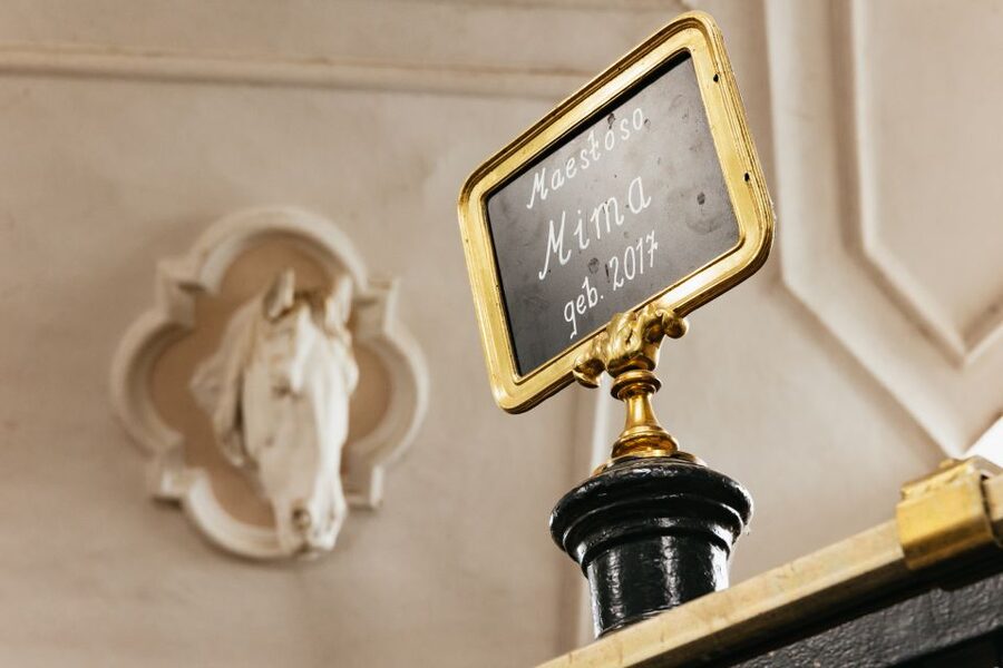 Vienna Spanish Riding School Guided Tour - Who Should Book This Spanish Riding School Tour?