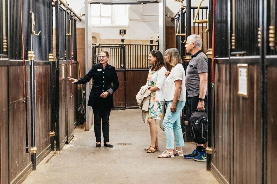 Vienna Spanish Riding School Guided Tour - Winter Riding School: The Baroque Room That Makes Technique Feel Real