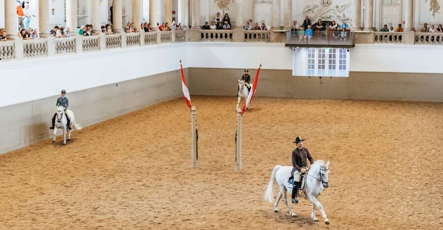 Vienna: Spanish Riding School Training - Key things to know before you go