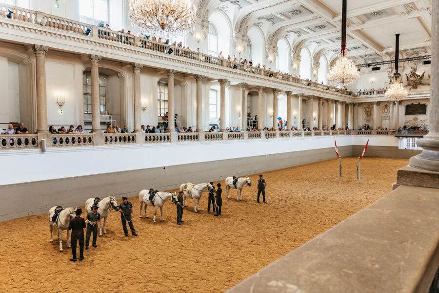 Vienna: Spanish Riding School Training - The Morning Exercise and Classical Music: Why It Makes You Pay Attention