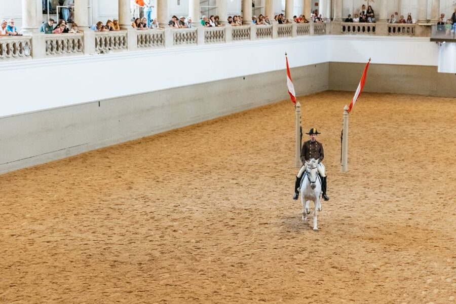 Vienna: Spanish Riding School Training - What You Might or Might Not See: Levade, Courbette, Capriole