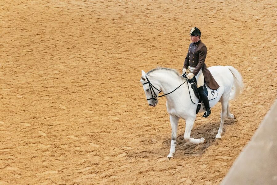 Vienna: Spanish Riding School Training - Ticket Exchange and Timing: Small Steps That Prevent Stress