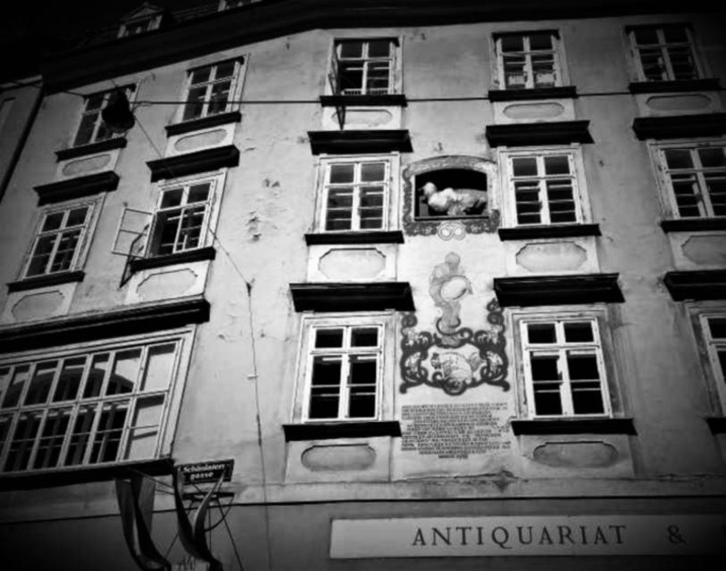 Vienna: Spooky Ghost Tour in English - Haunted Cobblestoned Alleys: the atmosphere part you can feel