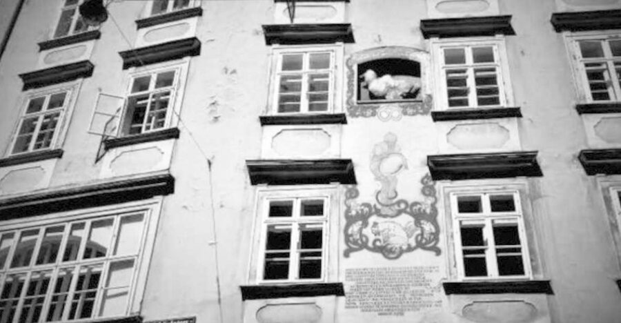 Vienna: Spooky Ghost Tour in English - The 90-Minute Format: what you gain (and what you skip)
