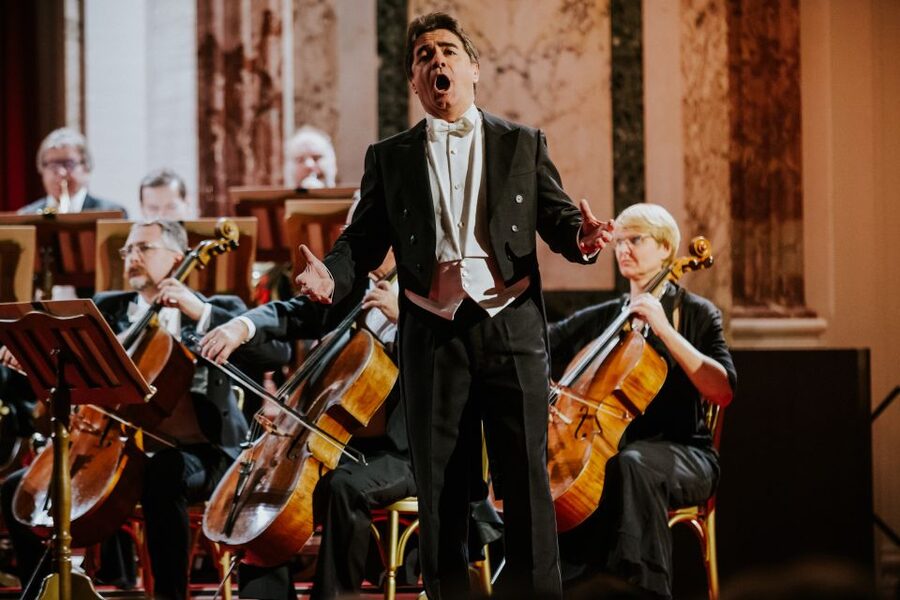 Vienna: Strauss and Mozart Concert at Hofburg Palace - The performers you will see: why the staging changes everything