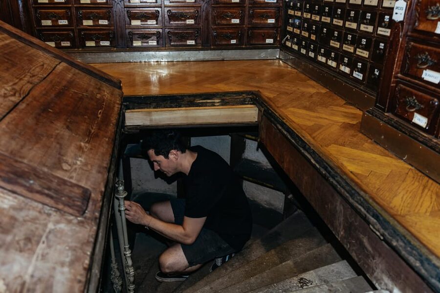 Vienna: Viennese Underworld Guided Walking Tour - Vienna’s Hidden Cellars: what the underworld tour feels like