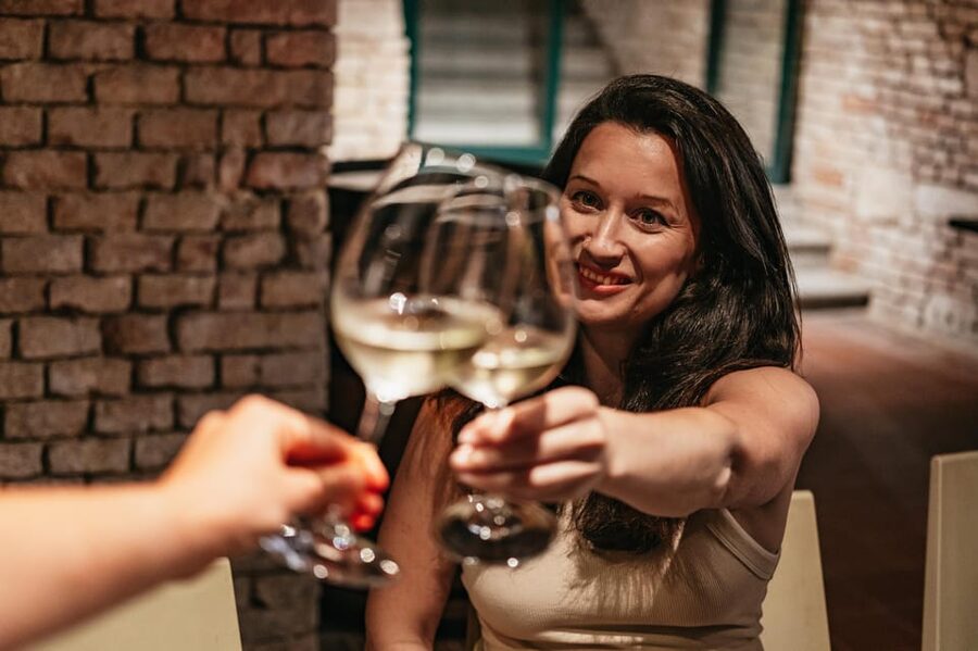 Vienna: Wine Tasting Experience in a Private Wine Cellar - The wines and pairings: what you actually taste and why it matters