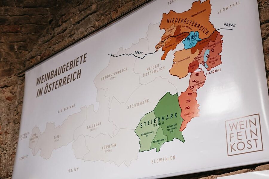 Vienna: Wine Tasting Experience in a Private Wine Cellar - Who should book this Vienna wine tasting, and who might not
