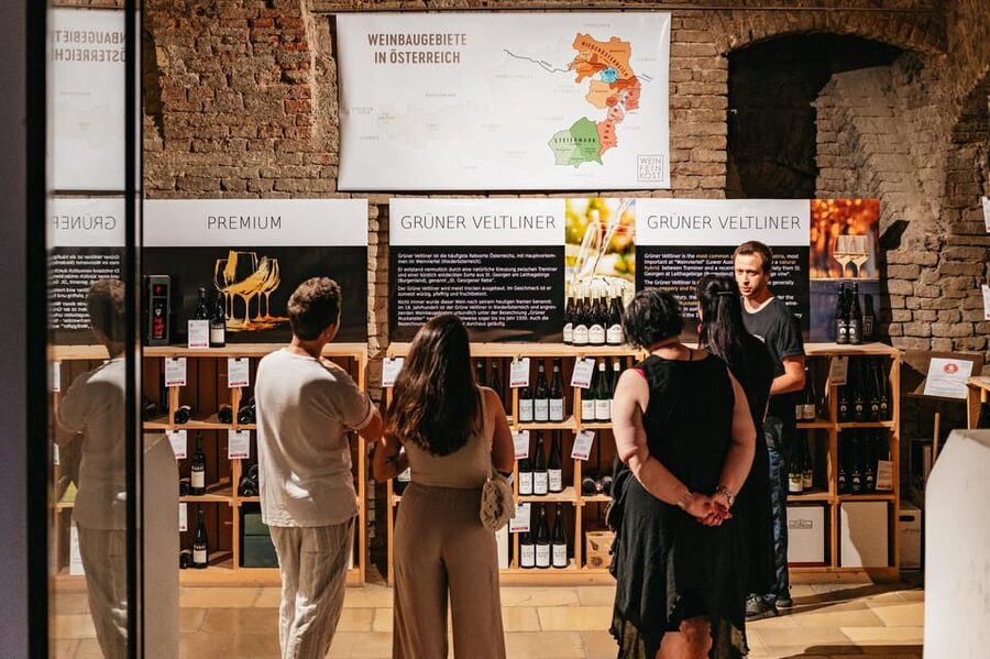 Vienna: Wine Tasting Experience in a Private Wine Cellar - Should I book this tour in Vienna?