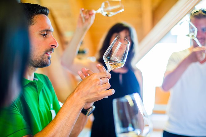 Wachau Valley Small-Group Tour and Wine Tasting from Vienna - Key Things You’ll Notice on This Tour