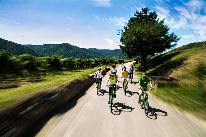 Wachau Valley Wine Tasting Bike Tour from Vienna - Guides, pacing, and why this feels fun rather than stiff